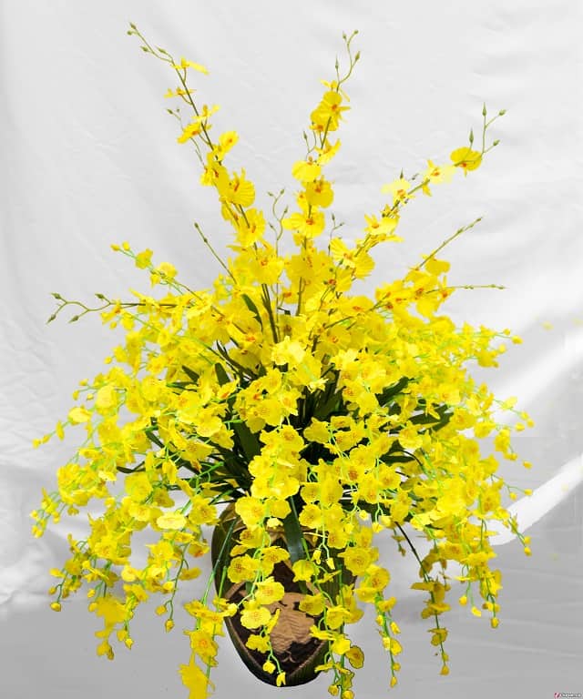 Những ý tưởng quà tết độc đáo bạn không thể bỏ qua