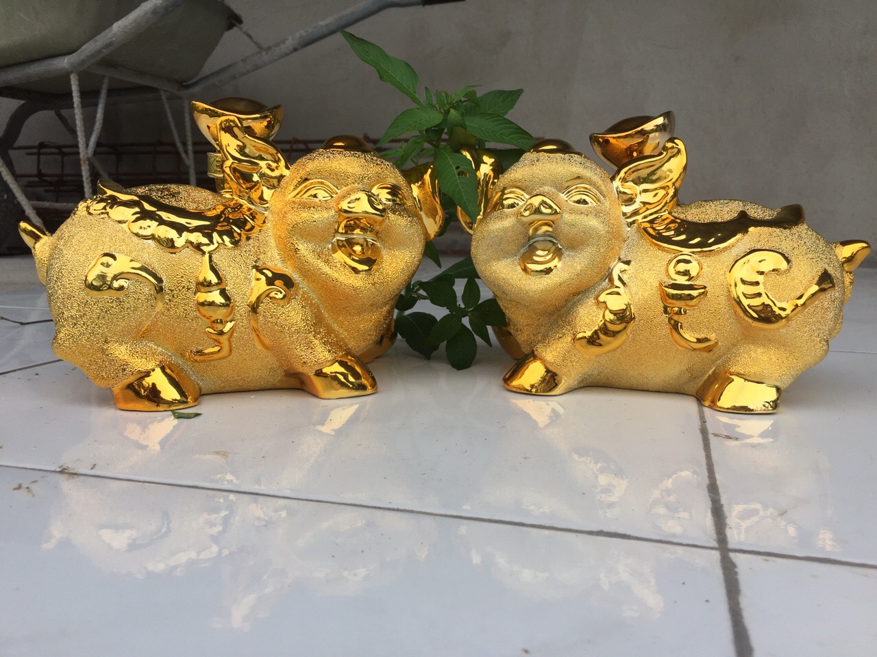 Tết năm con lợn Kỷ Hợi 2019 tặng nhau quà gì cho hợp?