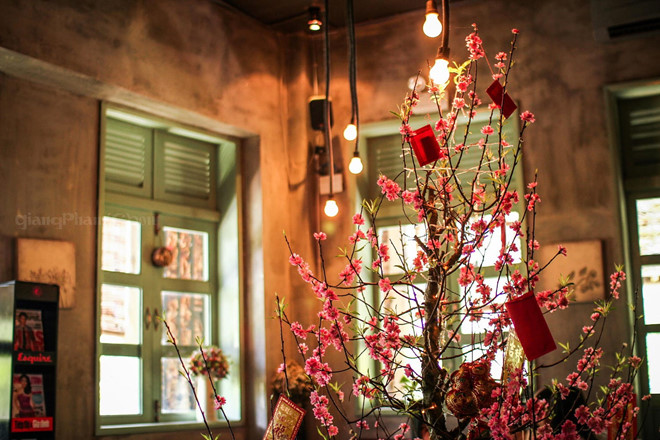 Tết ý nghĩa của người Việt