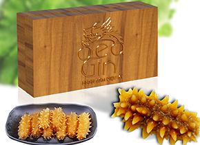Hải Sâm Seagin Gai Dài size S